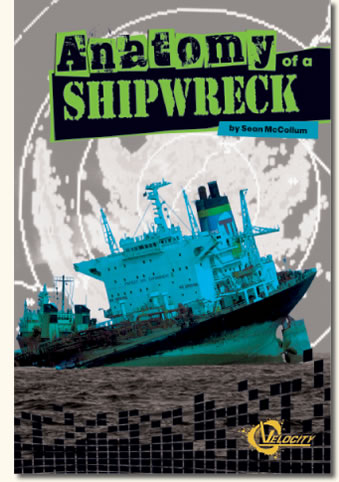 Anatomy of a Shipwreck